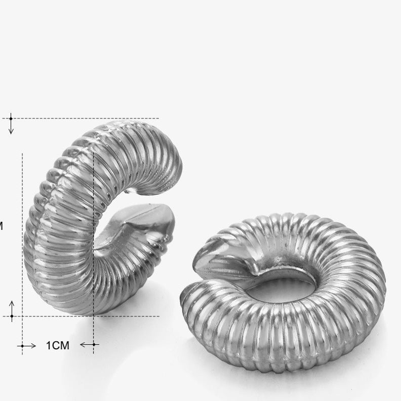 Silver Lustre Hoops Earring